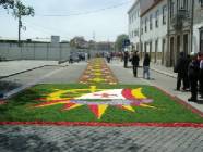 Click para ver a foto maior